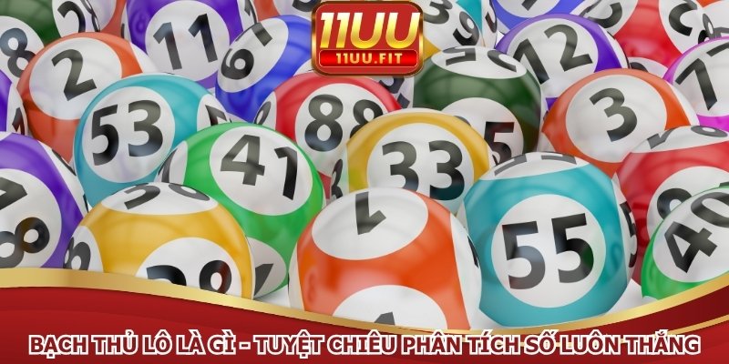 Bạch Thủ Lô Là Gì