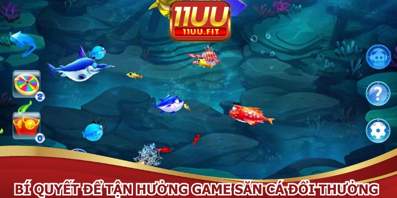 Bí quyết để tận hưởng game săn cá đổi thưởng trọn vẹn