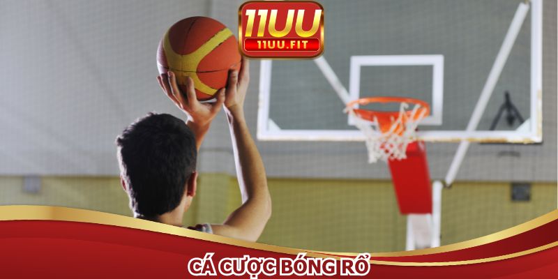 Cá Cược Bóng Rổ