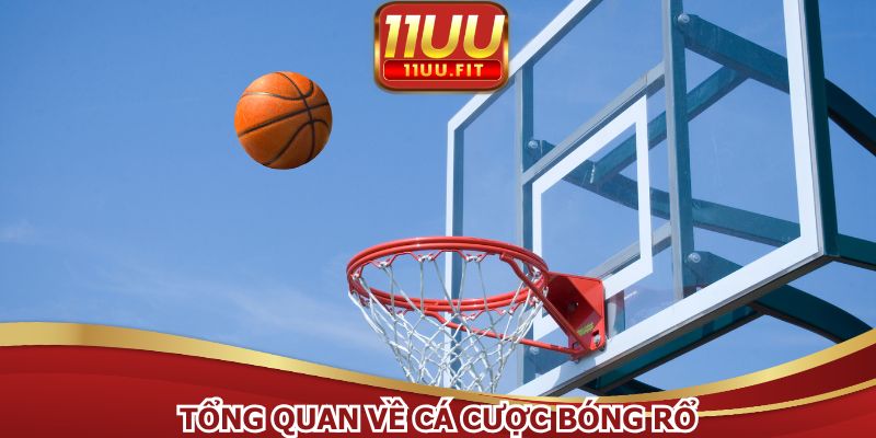 Hội viên vừa theo dõi, tham gia cược dễ dàng