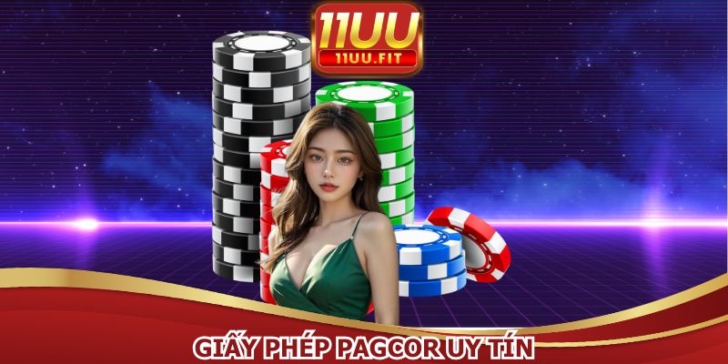 Loại giấy phép hoạt động uy tín trên thị trường