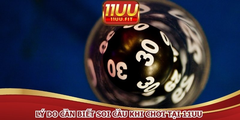Lý do cần biết soi cầu khi chơi tại 11UU