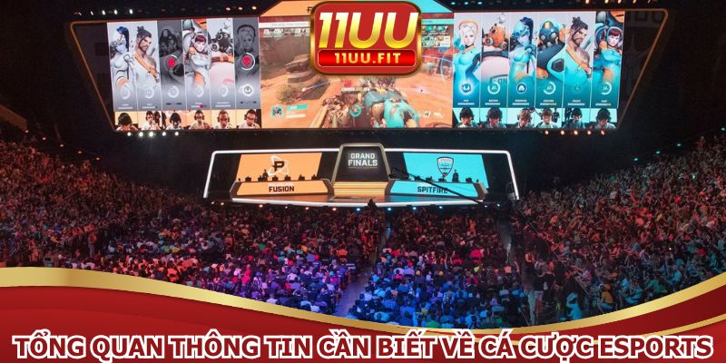 Tổng quan thông tin cần biết về cá cược eSports