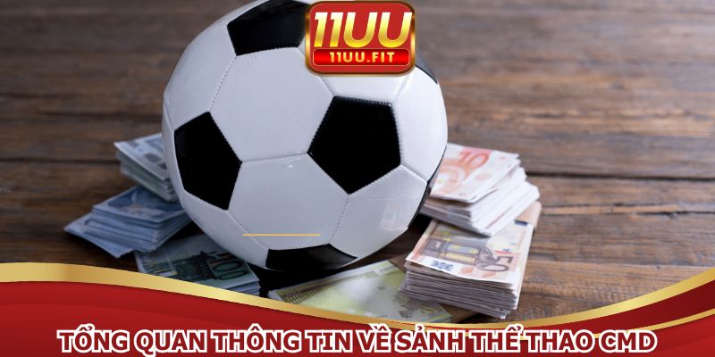 Tổng quan thông tin về sảnh thể thao CMD đình đám